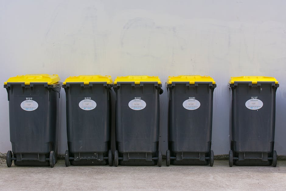 Merton Council rules for rubbish disposal in Wimbledon explained